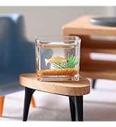 Dollhouse Miniature Fish Tank, Dollhouse Mini Glass Fish Tank Model, Home Ornament, Miniature Fis...
