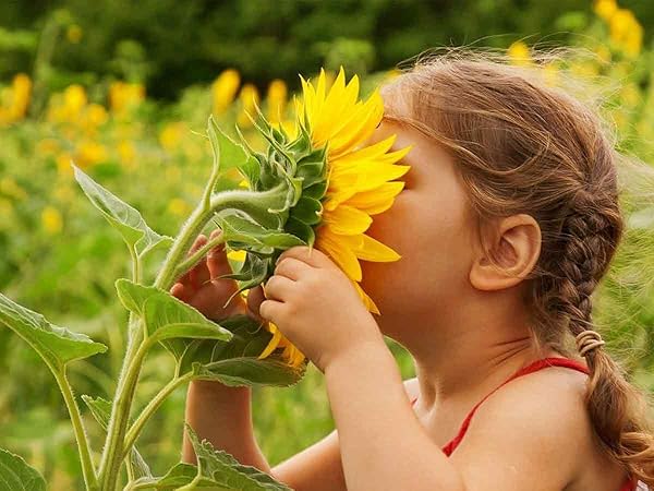 LQ-Mini-AA-1200900-A09B-Mini