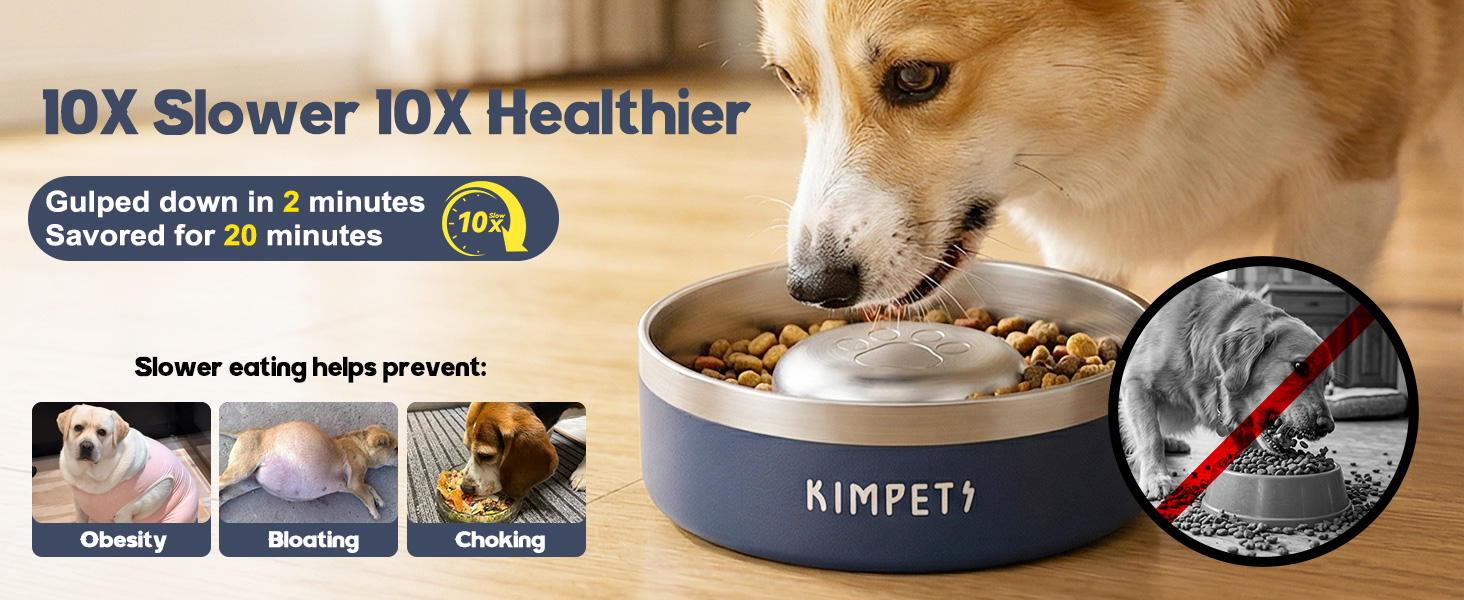 Dog Slow Feeder Bowl