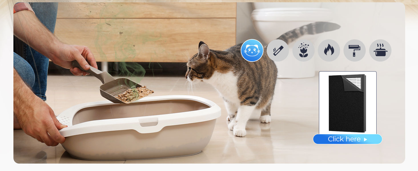 air purifier kitchen