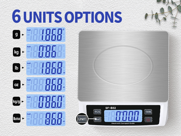 scale for commercial kitchen fusion