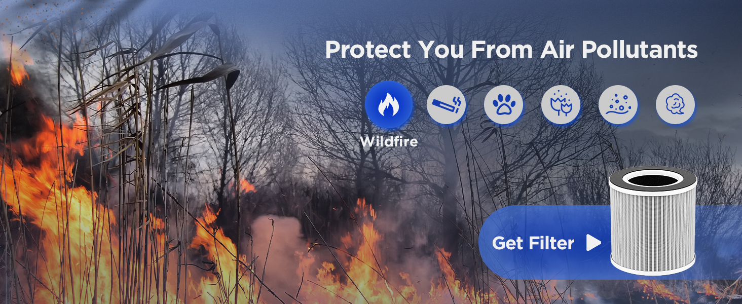 air purifier for smoke