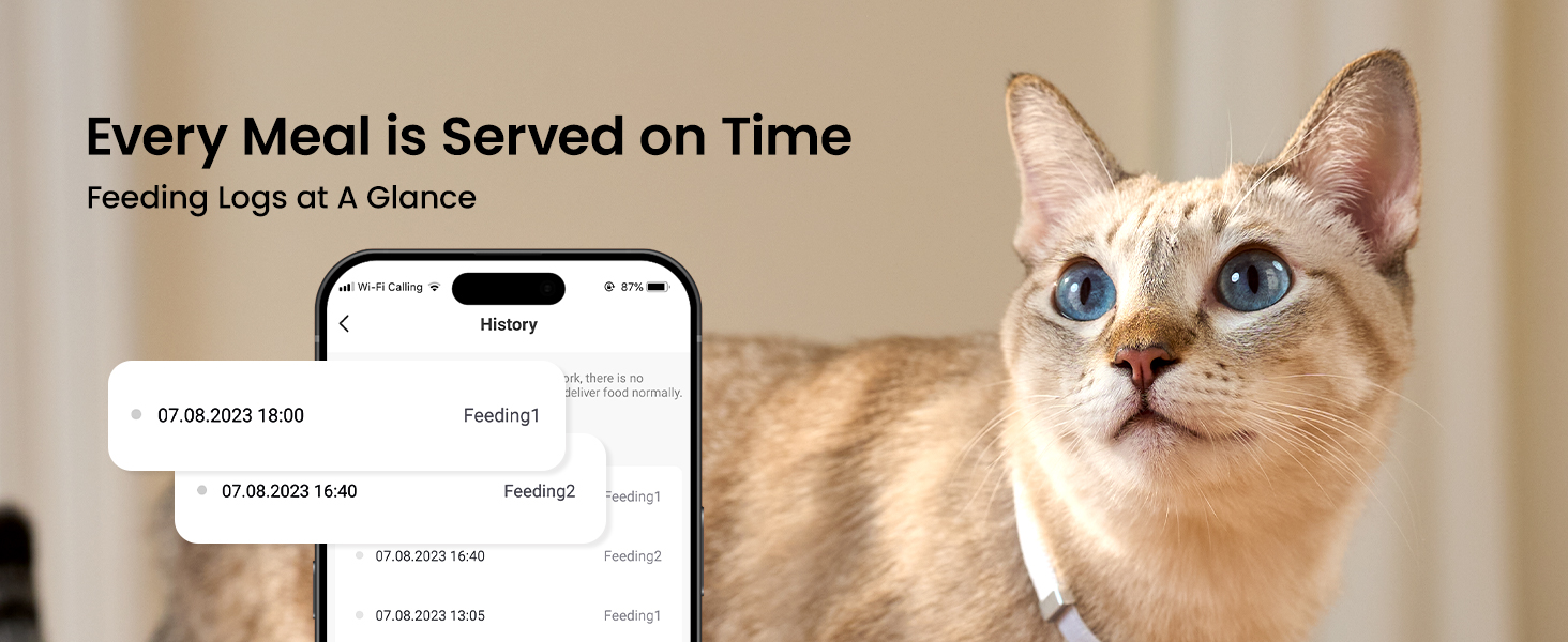 automatic cat feeder