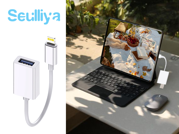 lightning to usb adapter