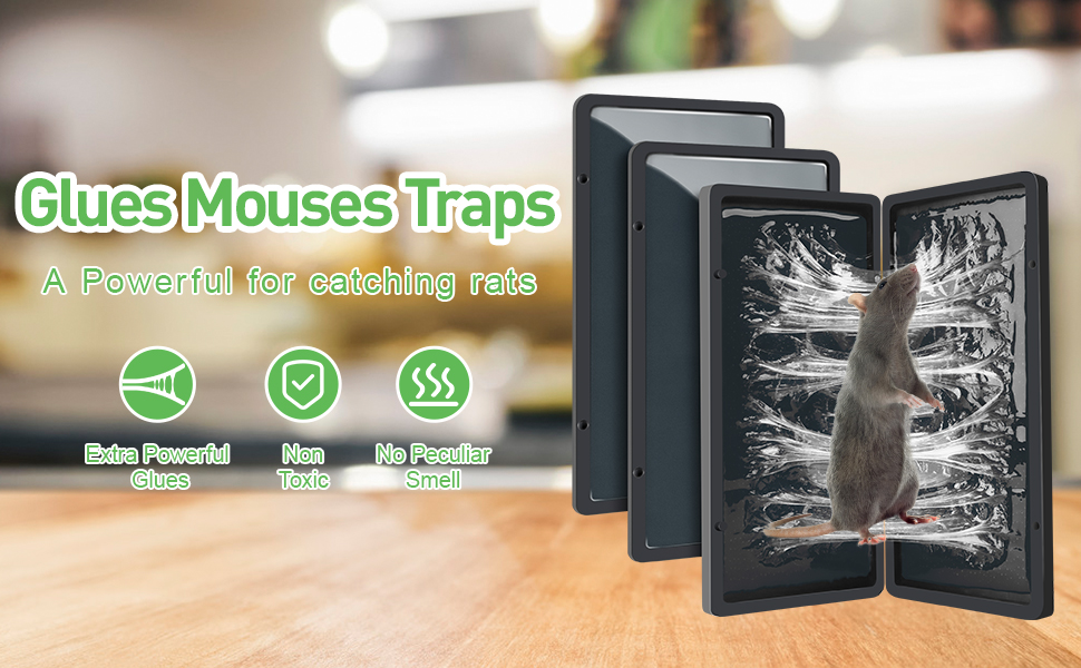 Mouses Traps