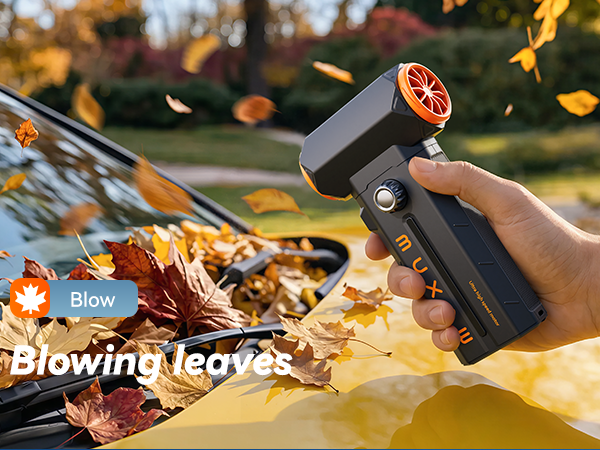 Blowing leaves