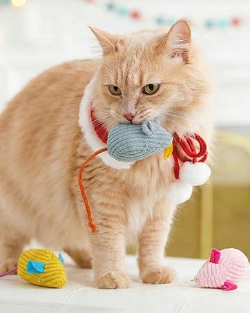 Cat mice toys