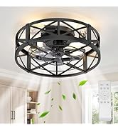Caged Ceiling Fan with Light and Remote, 20" Low Profile Flush Mount Ceiling Fans with Light, 6 S...