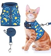 BINGPET Cat Harness with Leash Escape Proof - Fashionable Mesh Cat Dog Walking Harness Leads, Adj...