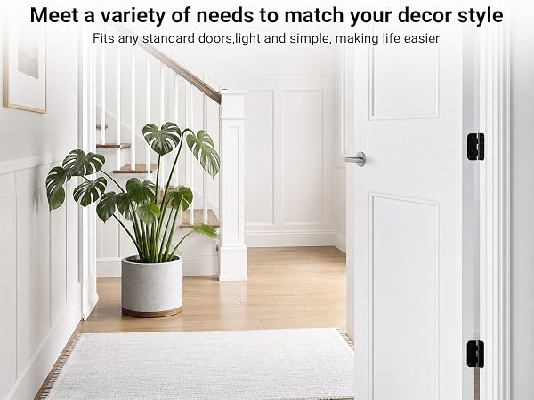 black door hinges interior
