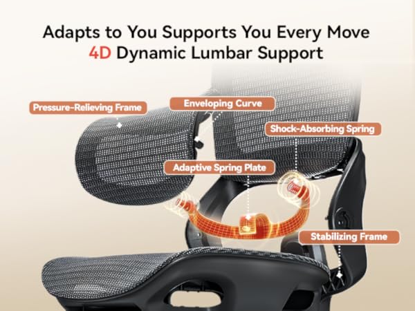 Dynamic Lumbar Support