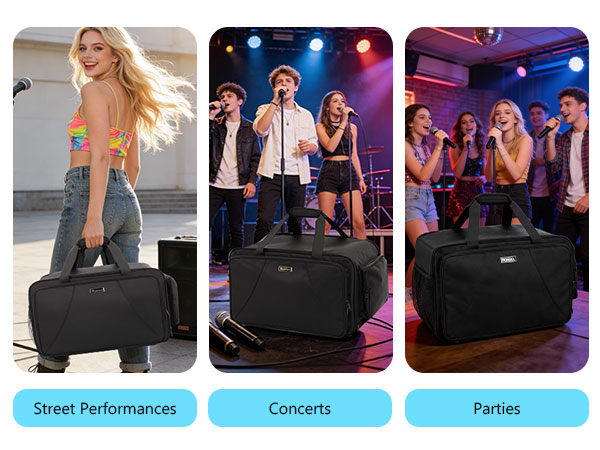 speaker carrying case