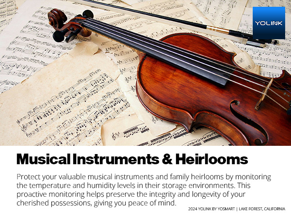 Musical Instruments &amp; Heirlooms