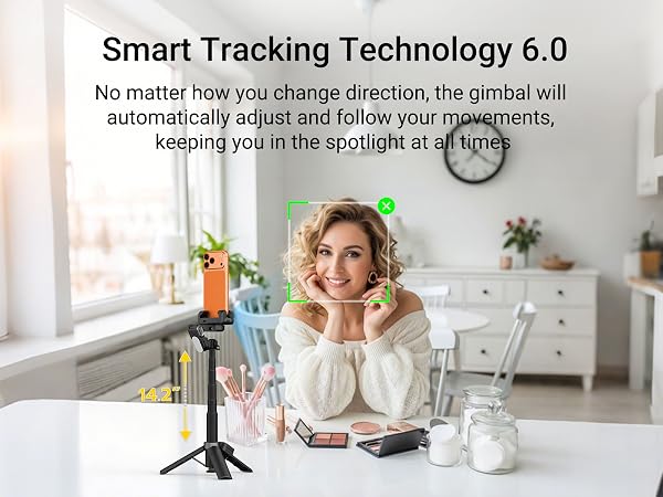 gimbal