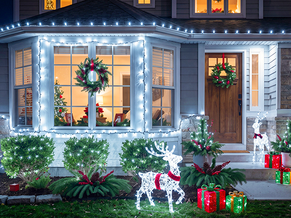 LED Christmas lights