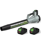 Leaf Blower, Cordless Leaf Blower with 2 X 4.0Ah Battery and Charger, 6 Speed Mode Electric Leaf ...