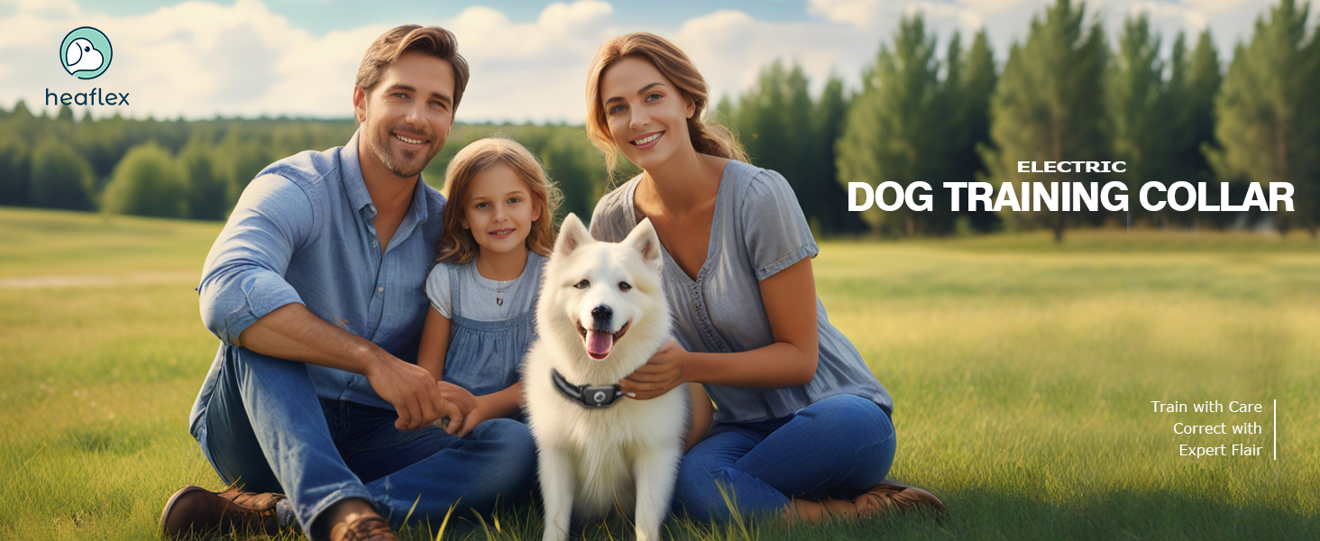 dog shock collar dog training collar