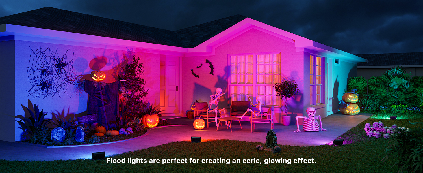 Halloween flood light