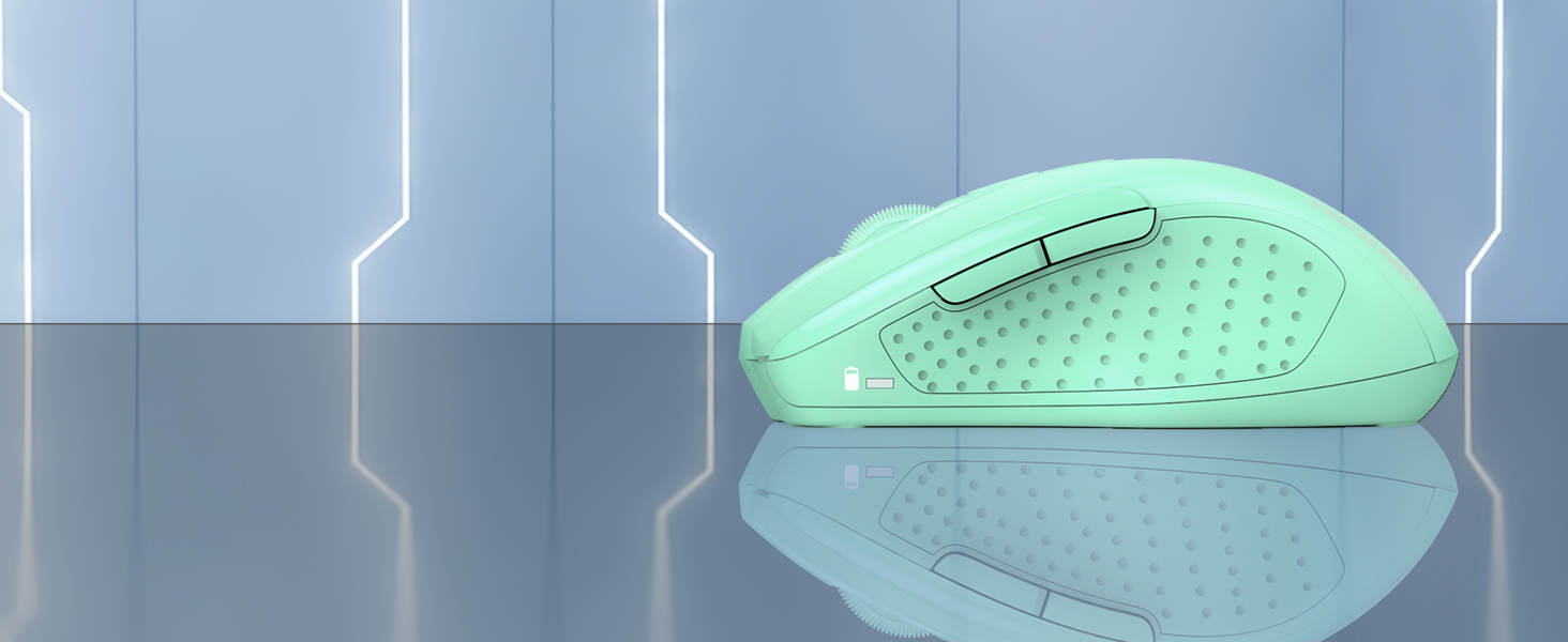 mouse