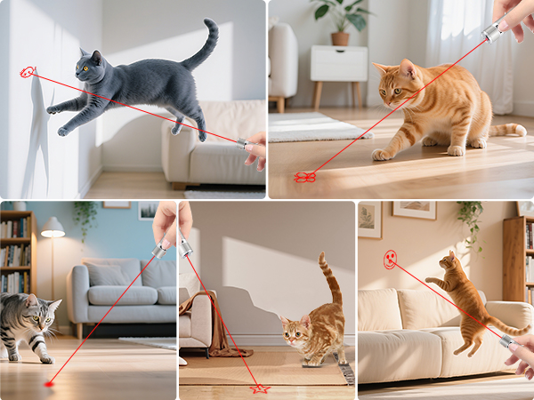 interactive cat toy
