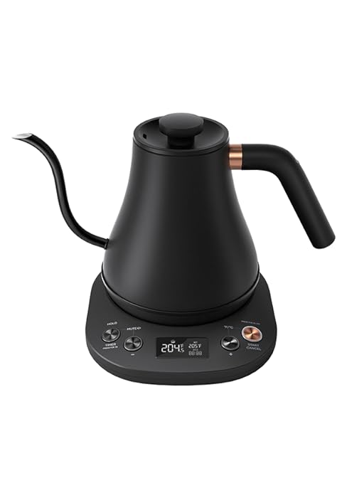 Mecity Electric Kettle