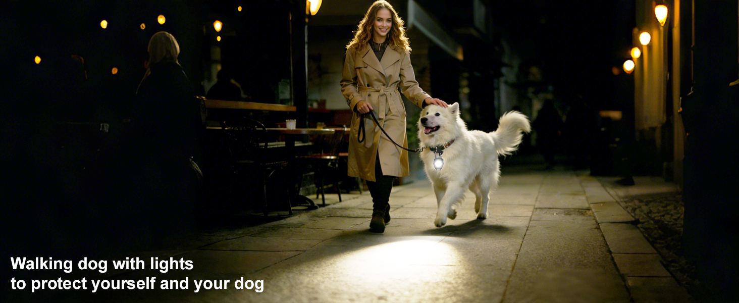 Light the way for your dog when you walk at night.