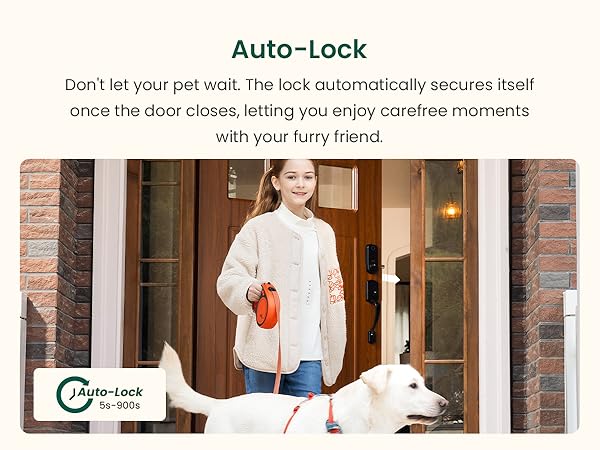 auto lock