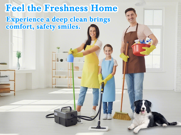 home steam cleaner