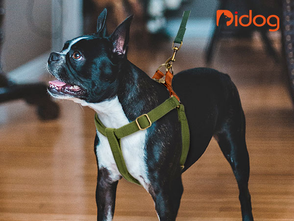 Step in Dog Harness