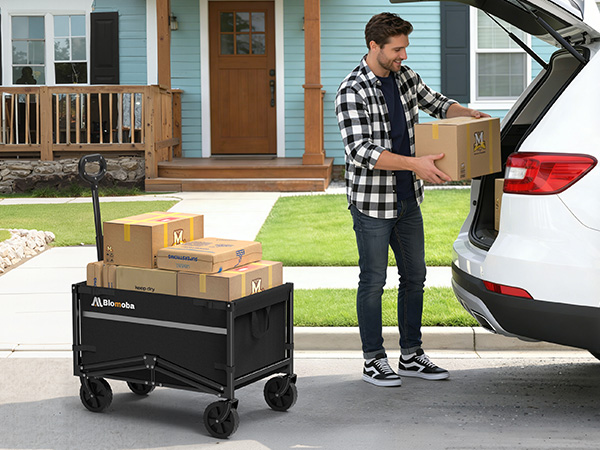 collapsible grocery cart