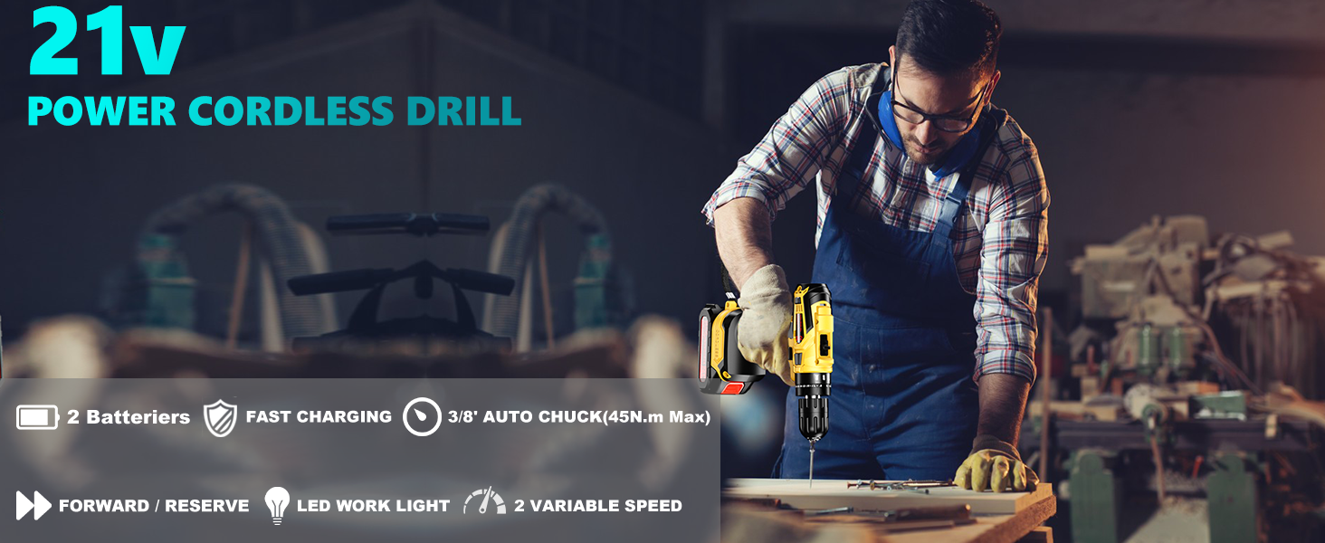 Cordless Drill with 2 Batteries and Charger