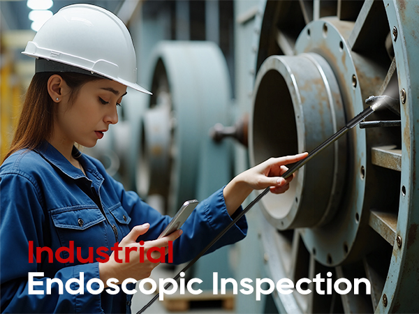 endoscope camera with light