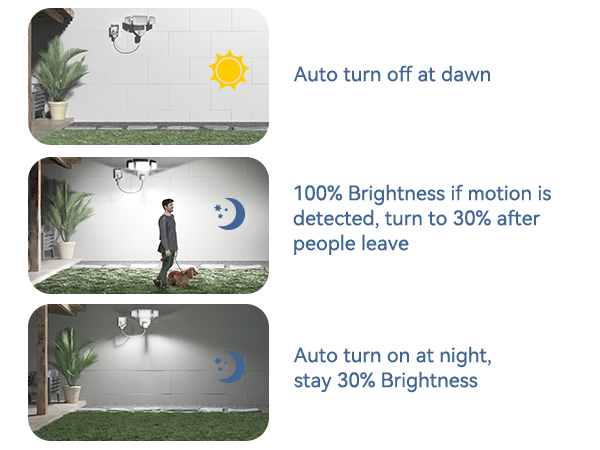 Dusk to Dawn Outdoor Lights
