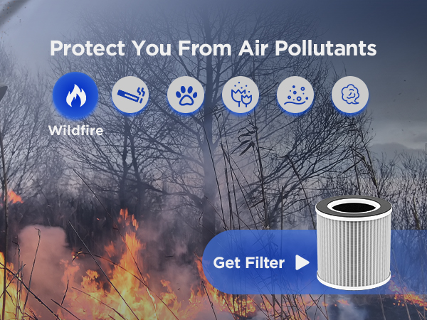 room air purifier for smoke