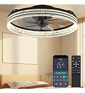 DIAMONDFORGE Ceiling Fans with Lights and Remote Fandelier - 20'' Black and White Flush Mount Low...