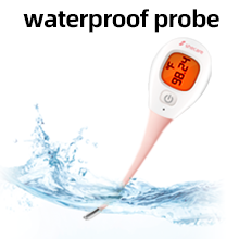thermometer for home
