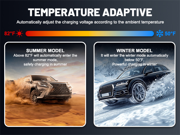 smart trickle charger