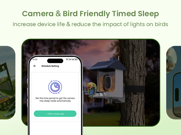 bird feeder camera