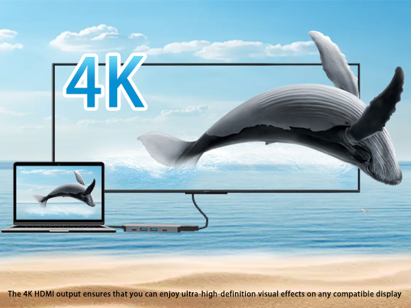 USB C Hub 5-in-1 with 4K HDMI
