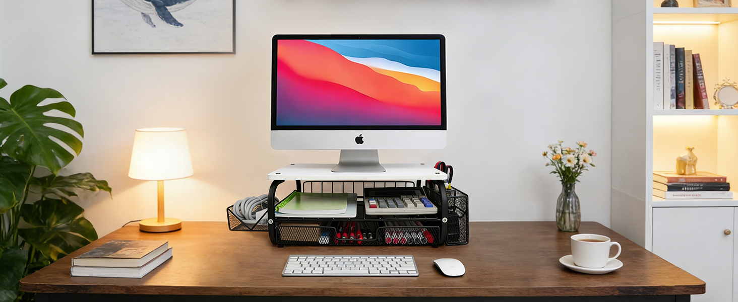 monitor riser