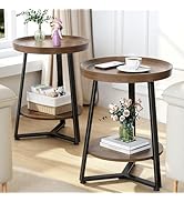 Round End Table Set of 2, 2-Tier Tray Top Side Table Decor Table, Ultra Stable Coffee End Table/N...