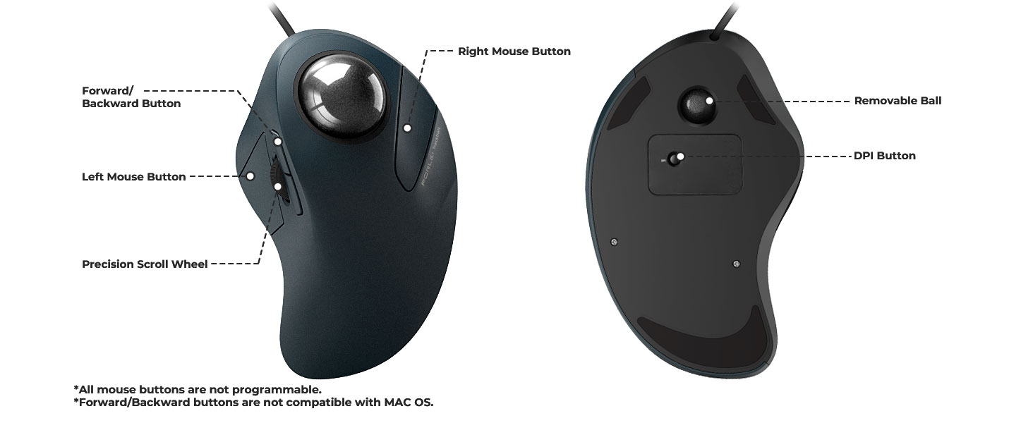 mouse