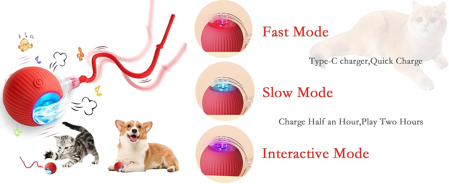 cat toyball