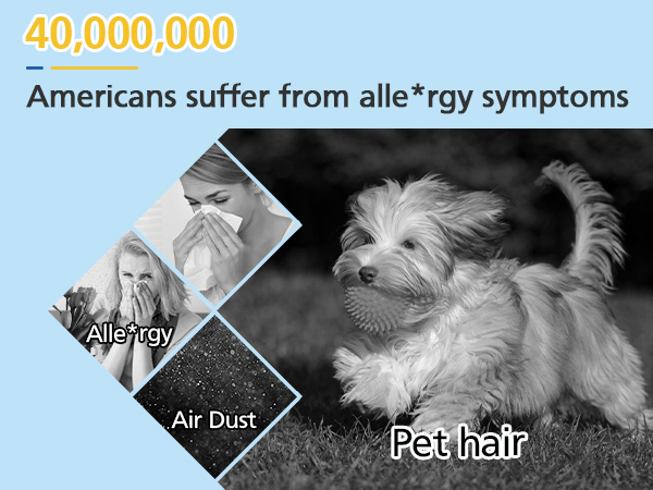 Core mini replacement filter