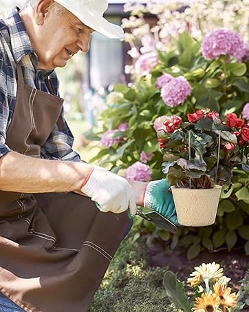 garden planting tools