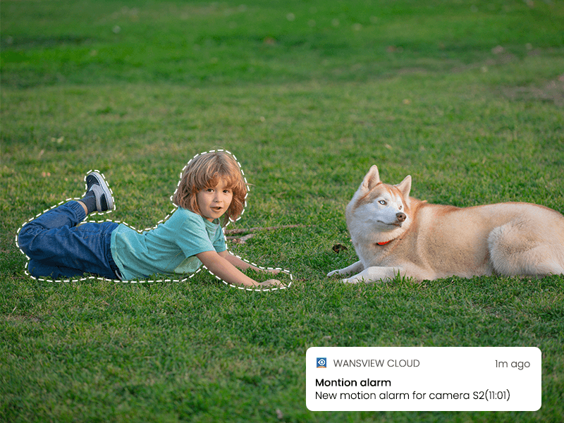 wireless cameras for home security