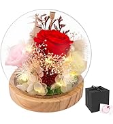 Hatende Preserved Rose Flowers for Women Mom Wife Grandma, Fresh Flowers Bouquet in Glass Dome wi...