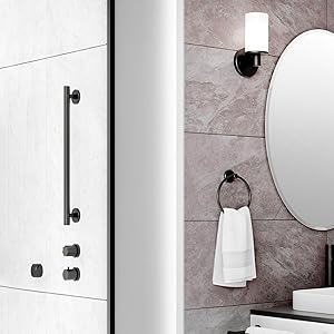 SAFETY GRAB BAR IN SHOWER