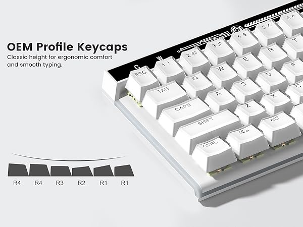 OEM Profile Keycaps