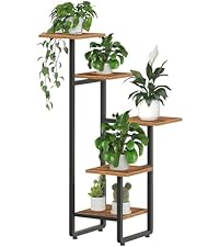 https://m.media-amazon.com/images/I/41FJqOBLMHL.__AC_SR200,225___.jpg